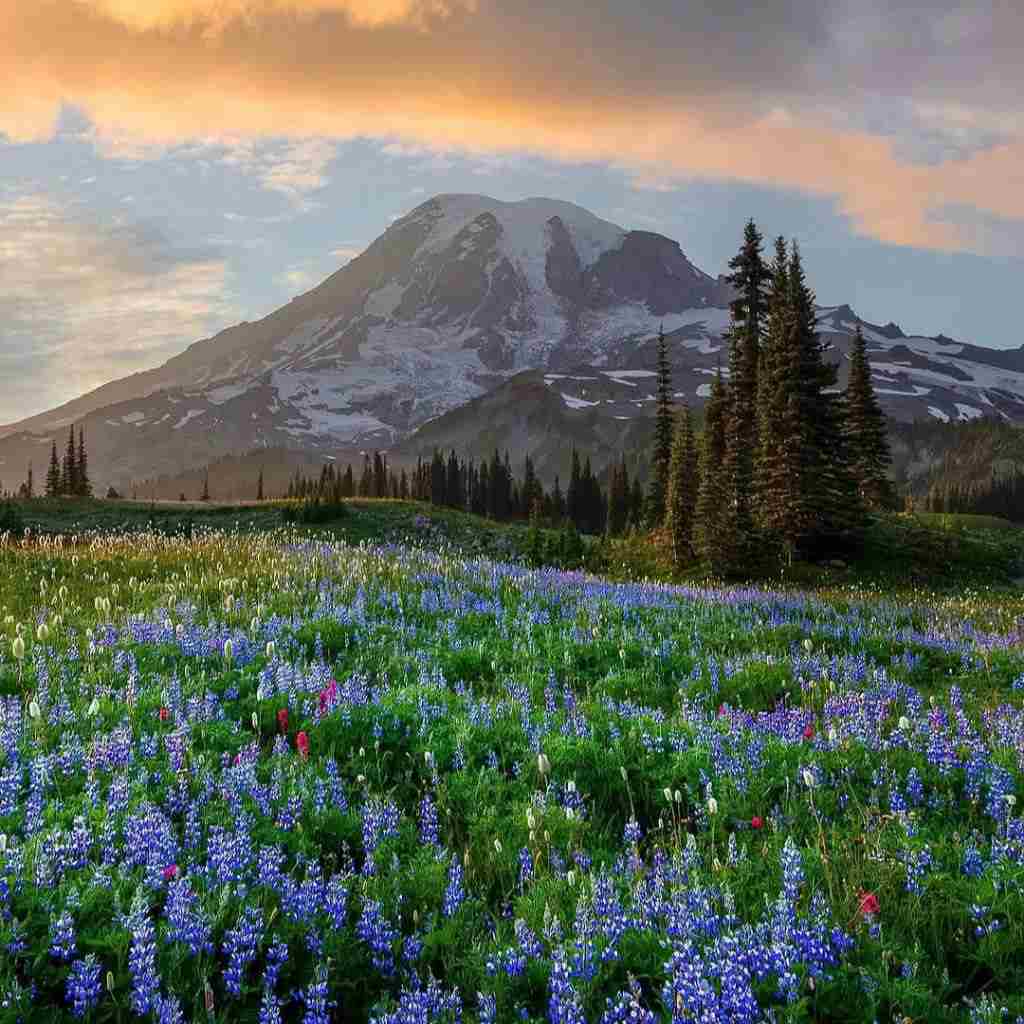 دانلود آهنگ چجو سر کنم با ای روزگار